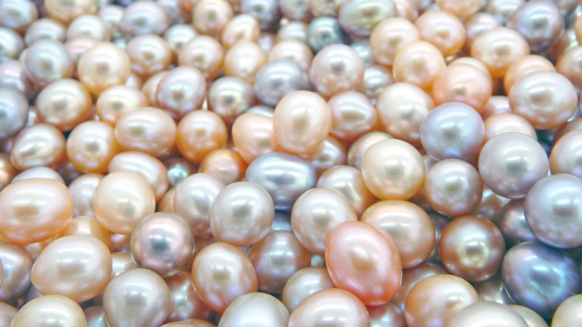 close up of lots of pearls