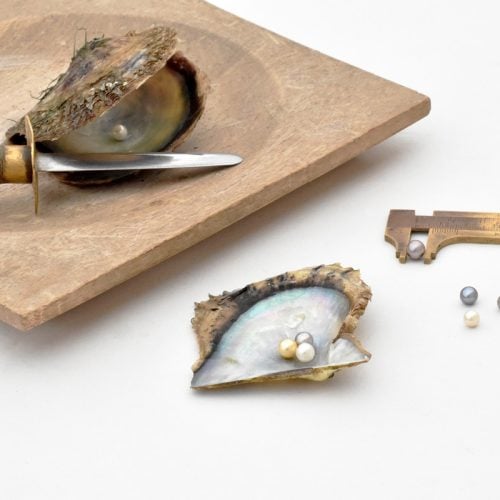 Tools used for the Pick a Pearl experience